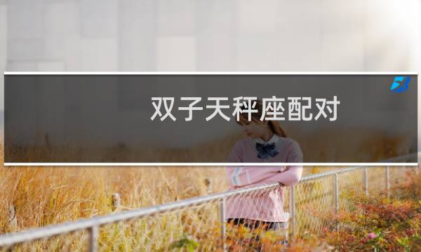 双子天秤座配对
