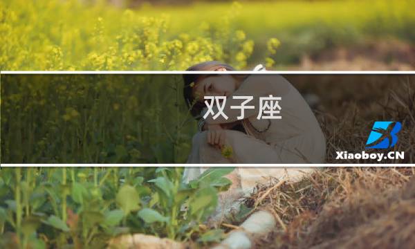 双子座 天蝎座