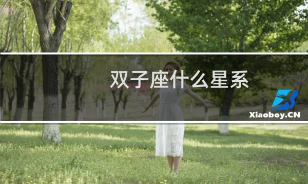 双子座什么星系