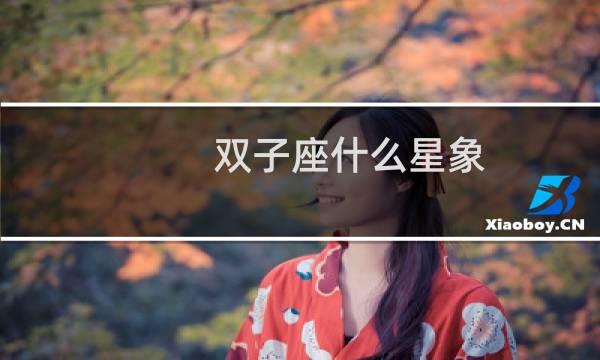 双子座什么星象