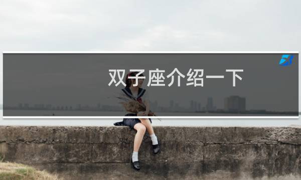 双子座介绍一下