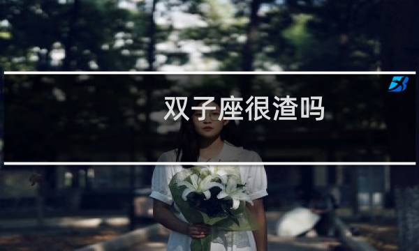 双子座很渣吗