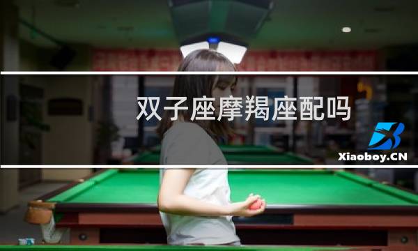双子座摩羯座配吗