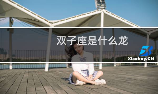 双子座是什么龙