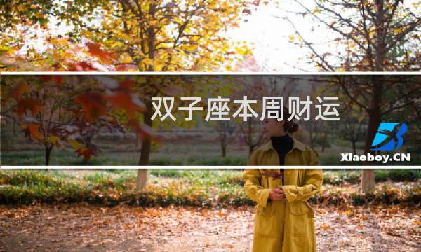 双子座本周财运