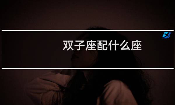 双子座配什么座