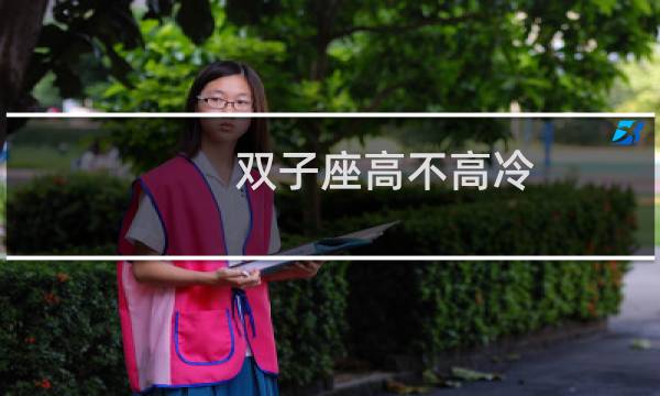 双子座高不高冷
