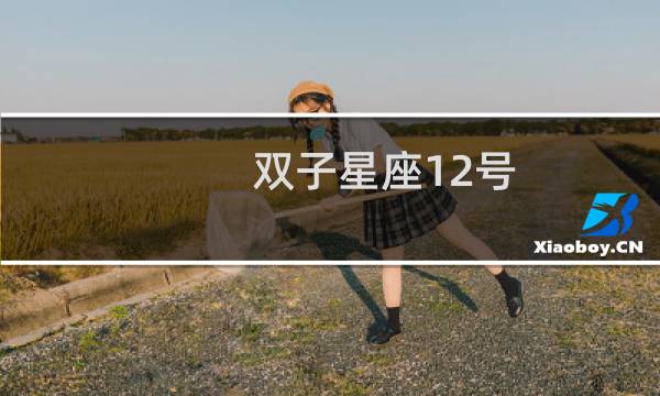 双子星座12号