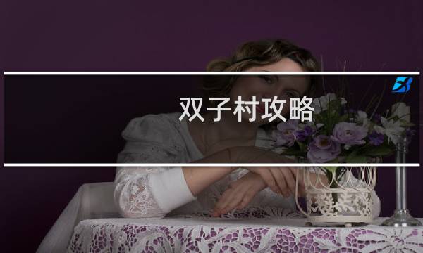 双子村攻略 同性
