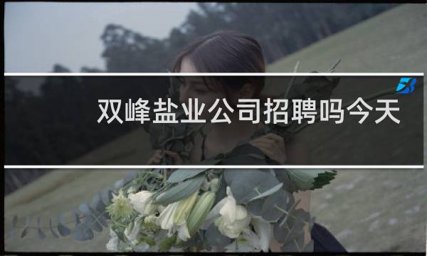 双峰盐业公司招聘吗今天