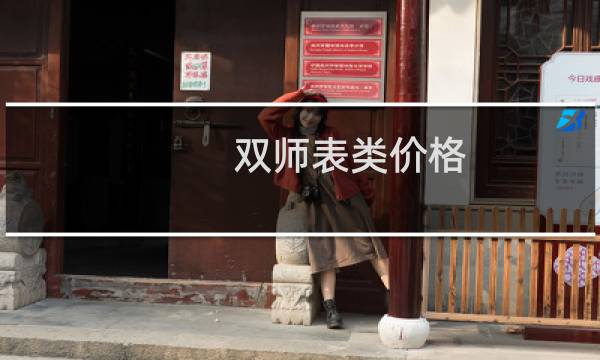 双师表类价格