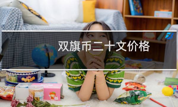 双旗币二十文价格