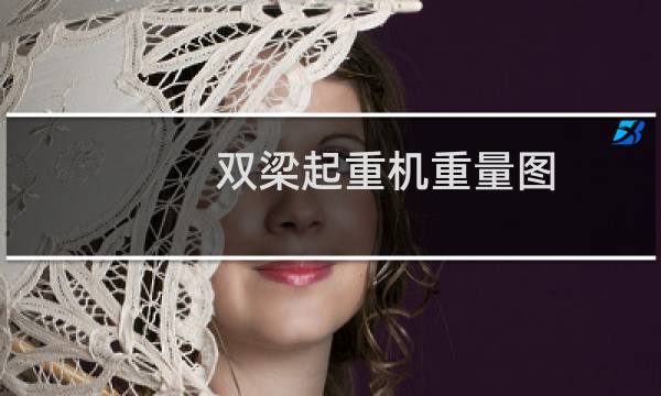 双梁起重机重量图