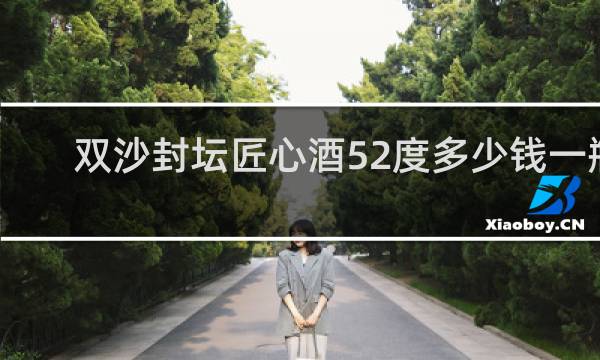 双沙封坛匠心酒52度多少钱一瓶