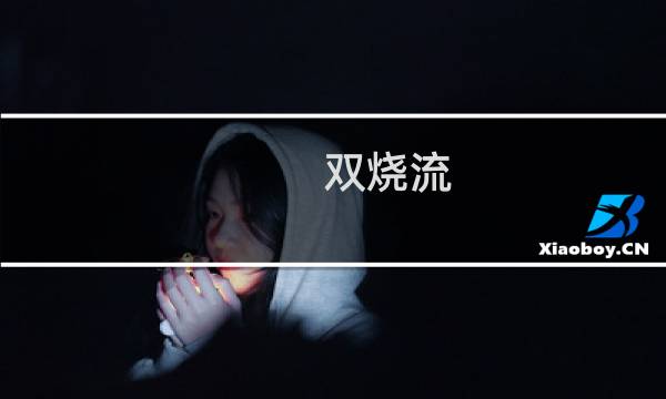 双烧流 程咬金怎么出装