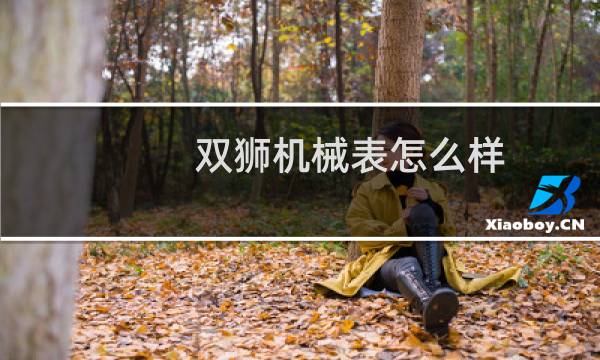 双狮机械表怎么样