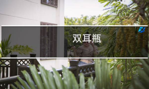 双耳瓶 攻略