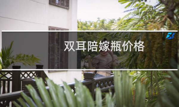 双耳陪嫁瓶价格