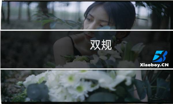 双规 攻略