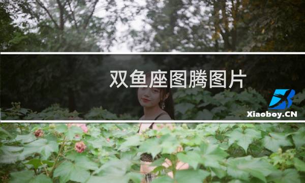 双鱼座图腾图片
