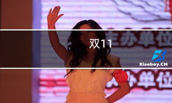 双11 攻略