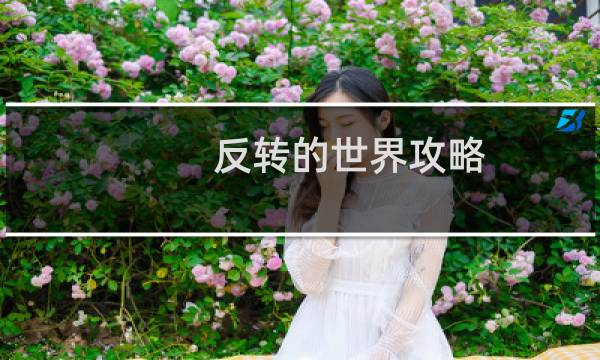 反转的世界攻略