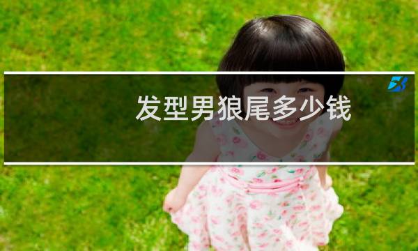 发型男狼尾多少钱