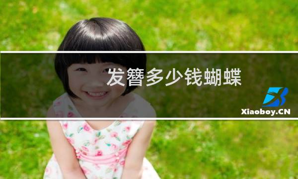 发簪多少钱蝴蝶