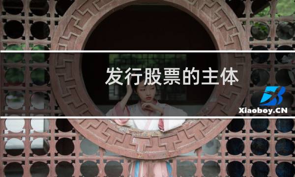 发行股票的主体