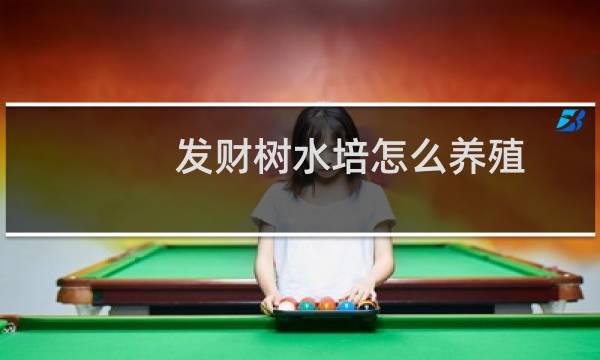 发财树水培怎么养殖