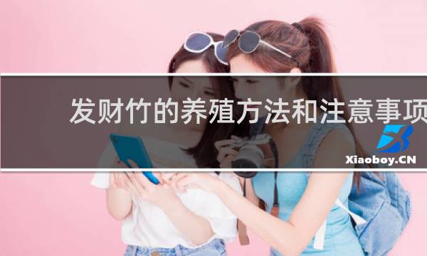 发财竹的养殖方法和注意事项