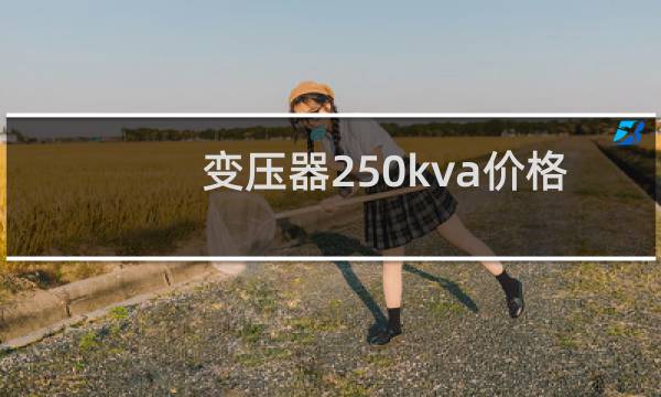 变压器250kva价格