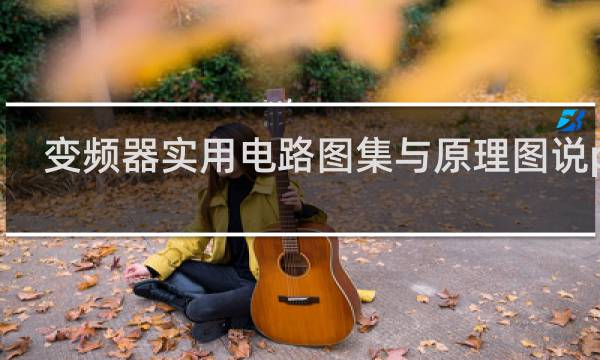 变频器实用电路图集与原理图说pdf