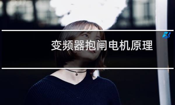 变频器抱闸电机原理