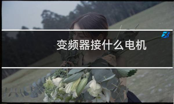 变频器接什么电机