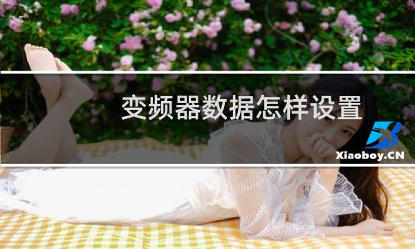 变频器数据怎样设置