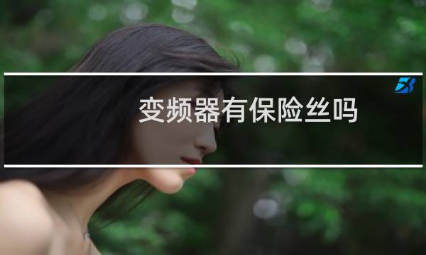 变频器有保险丝吗