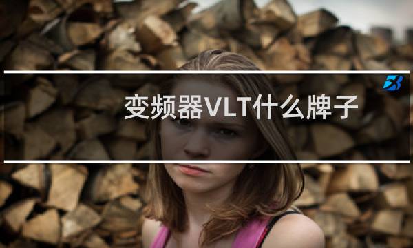 变频器VLT什么牌子