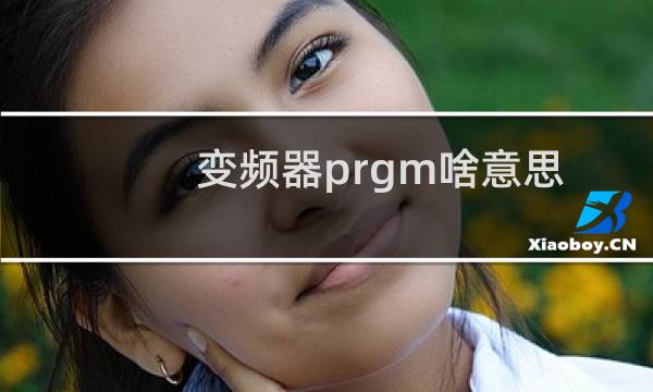 变频器prgm啥意思
