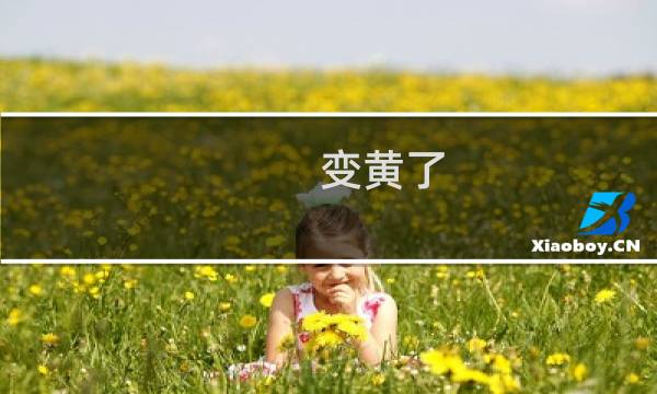 变黄了 游戏攻略