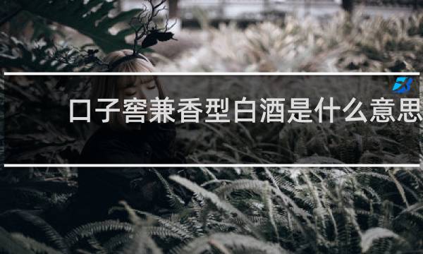 口子窖兼香型白酒是什么意思