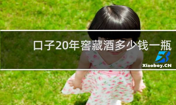口子20年窖藏酒多少钱一瓶