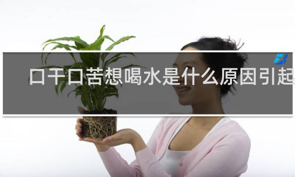 口干口苦想喝水是什么原因引起的