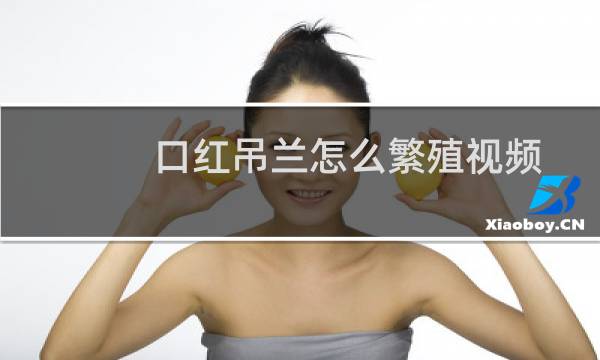 口红吊兰怎么繁殖视频