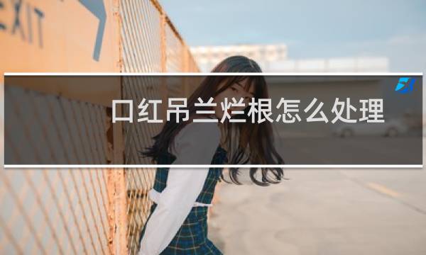 口红吊兰烂根怎么处理