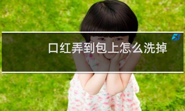 口红弄到包上怎么洗掉