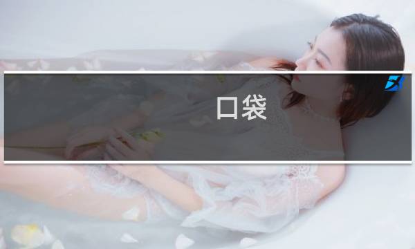 口袋 日 攻略
