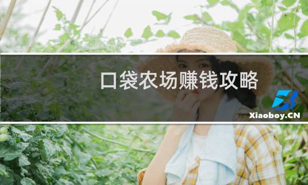 口袋农场赚钱攻略