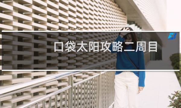 口袋太阳攻略二周目