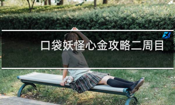 口袋妖怪心金攻略二周目